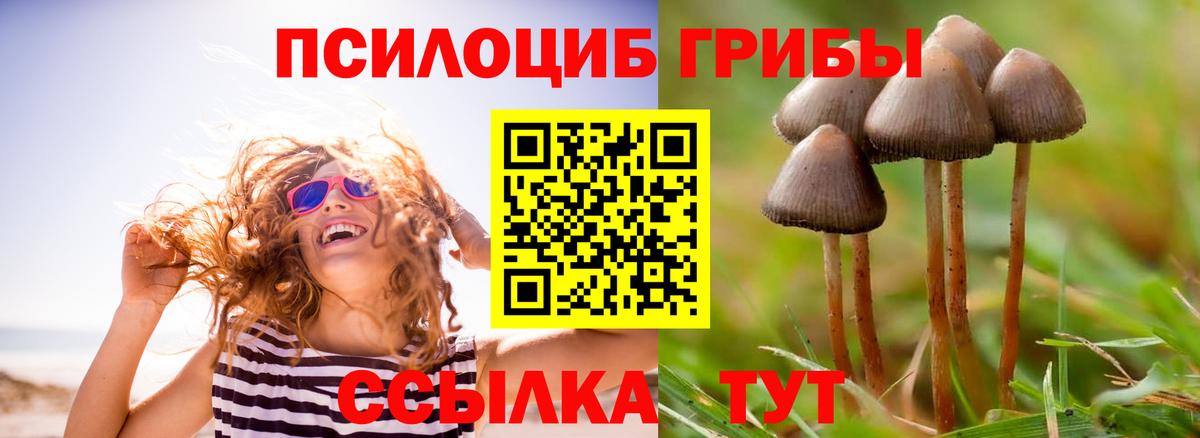 Галлюциногенные грибы прущие грибы Советский