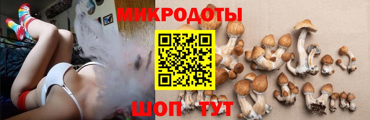 Советский  Галлюциногенные грибы прущие грибы  купить наркотик  Вход с VPN 
